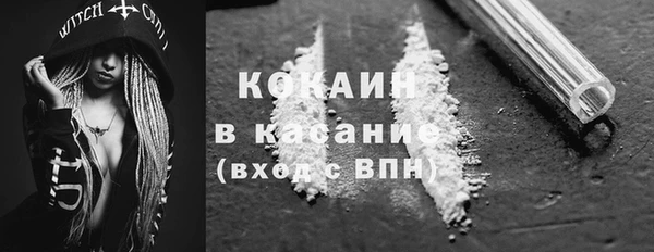 ГАЛЛЮЦИНОГЕННЫЕ ГРИБЫ Белокуриха