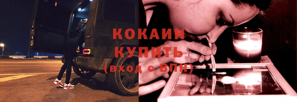 ГАЛЛЮЦИНОГЕННЫЕ ГРИБЫ Белокуриха