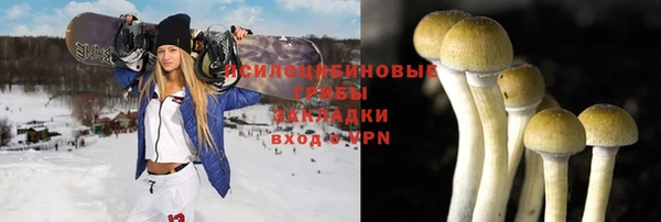 ГАЛЛЮЦИНОГЕННЫЕ ГРИБЫ Белокуриха