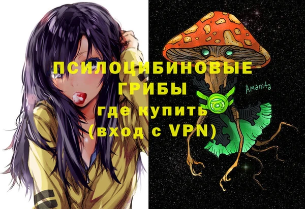ГАЛЛЮЦИНОГЕННЫЕ ГРИБЫ Белокуриха