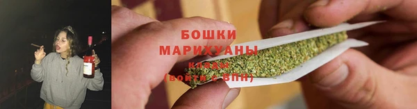 гидра Беломорск