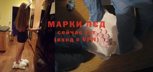 ГАЛЛЮЦИНОГЕННЫЕ ГРИБЫ Белокуриха